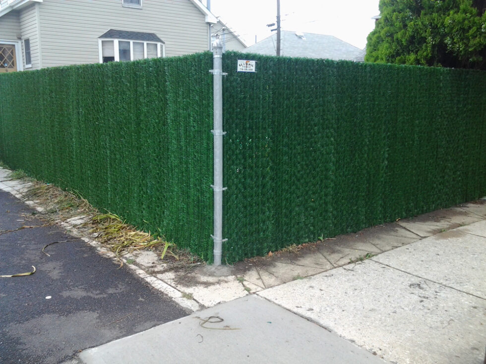6ft High Chain Link Fence with Hedge