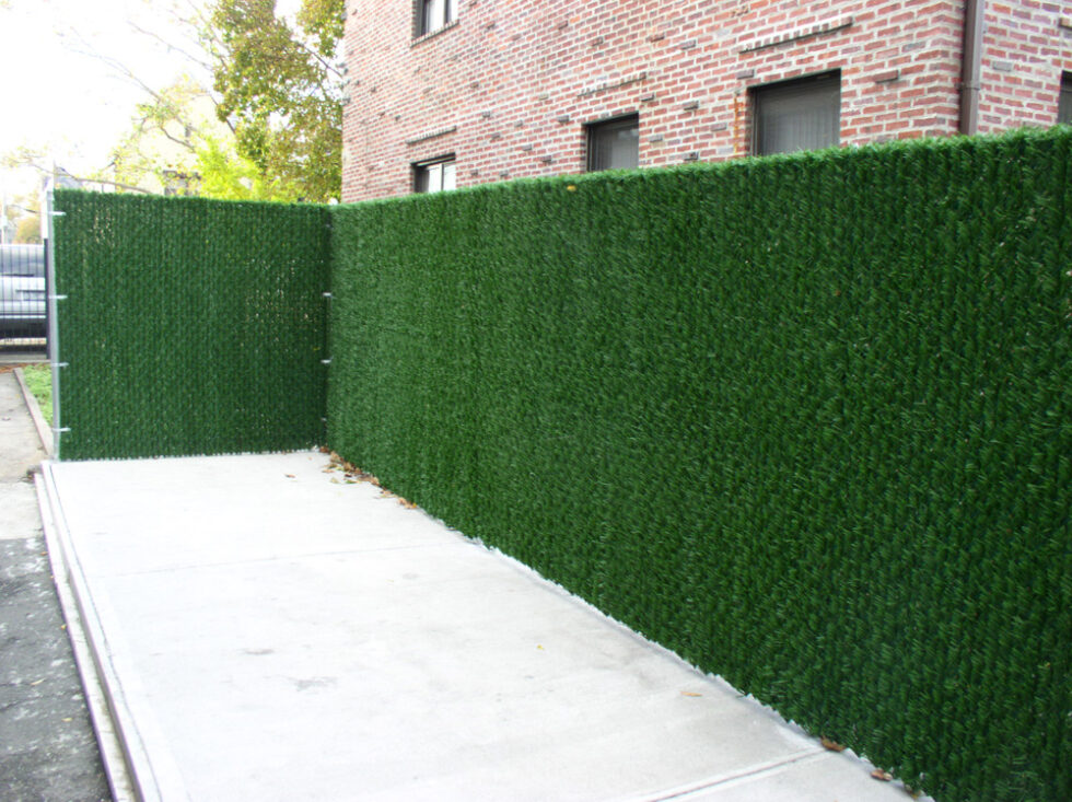 Hedge Fence